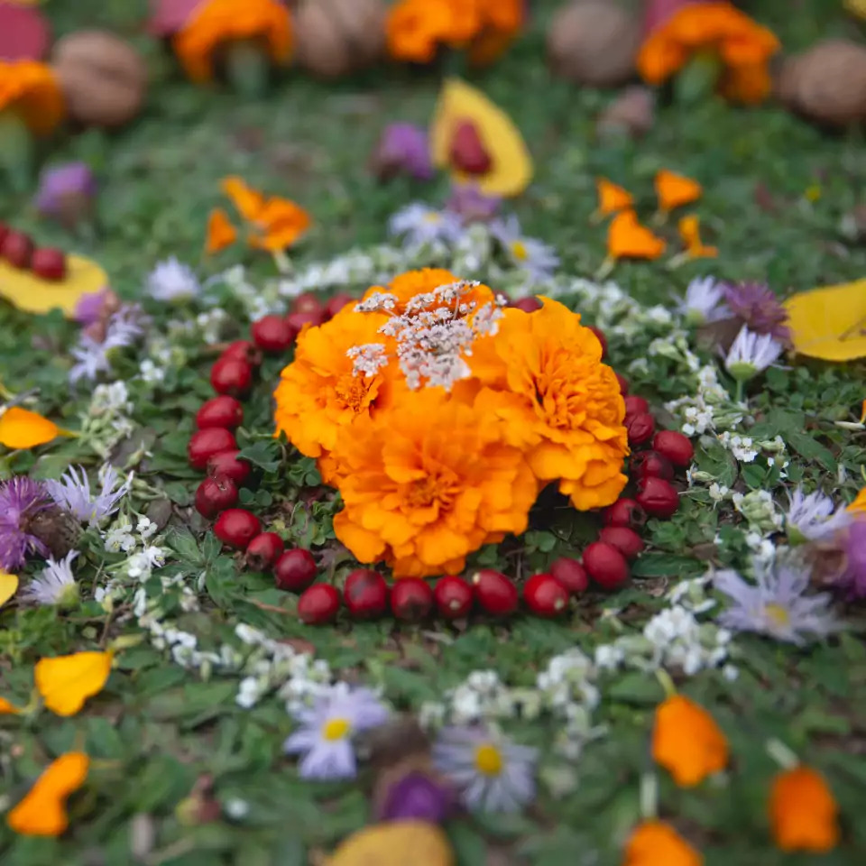 background image courses